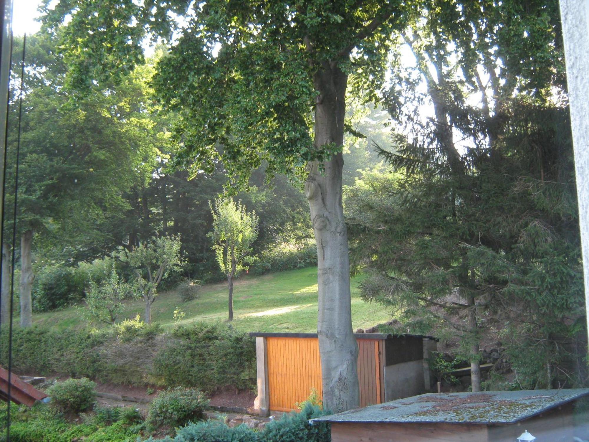Ferienwohnung Sauerland Panorama Korbach Zewnętrze zdjęcie
